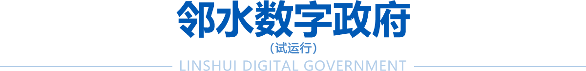鄰水數字政府